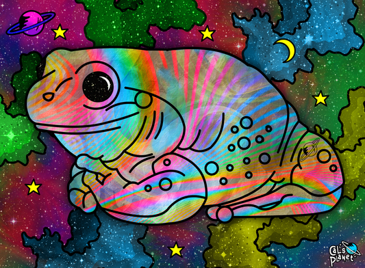 Cosmic Frog